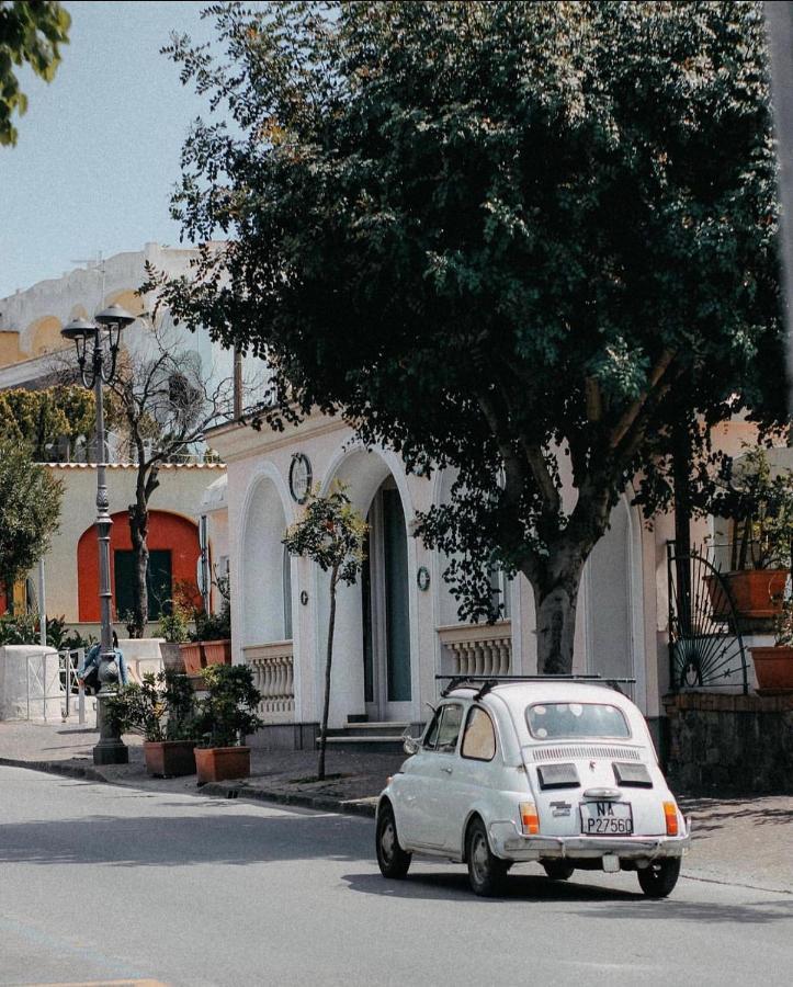 Hotel Rosetta Ischia Dış mekan fotoğraf